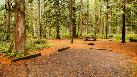 Campfire Cooking 101: Delicious Recipes for the Great Outdoors